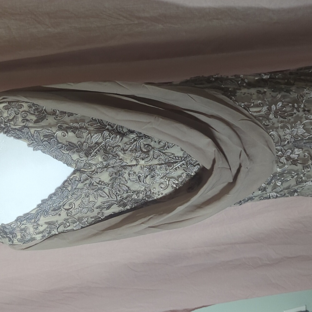 Embellished Lace Maxi Dress in Champagne Taupe - Picture 4 of 6
